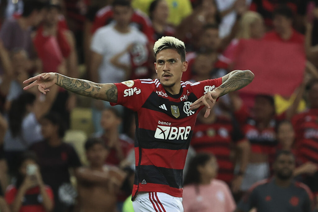 Pedro comemora gol do Flamengo
