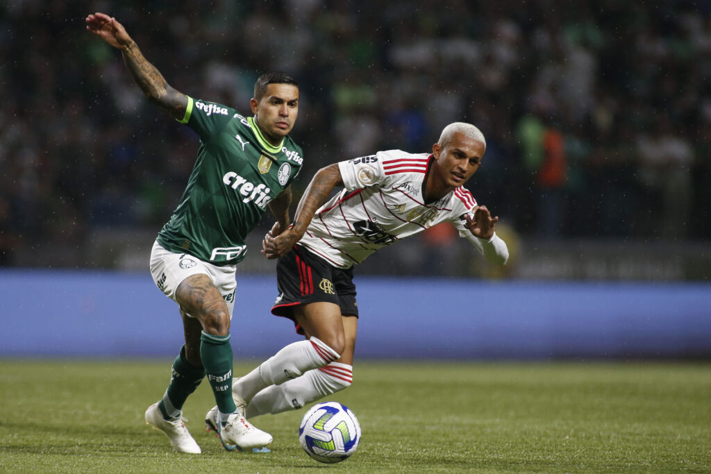 Palmeiras e Flamengo pelo Brasileirão