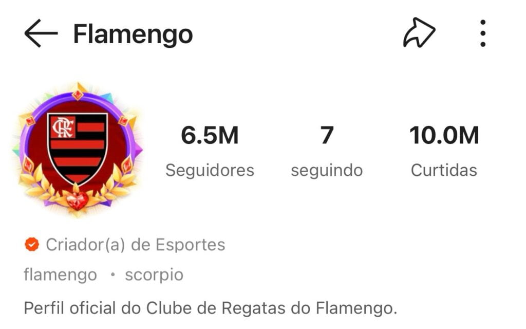 Perfil do Flamengo no Kwai. Contrato para patrocínio na manga também traz contrapartidas de vídeos exclusivos do Flamengo na Kwai e anúncios em redes rivais