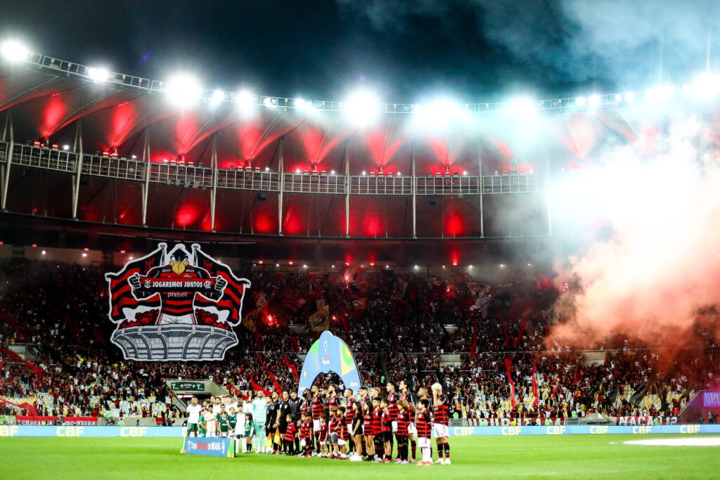 Torcida do Flamengo domina estatísticas no Brasileirão